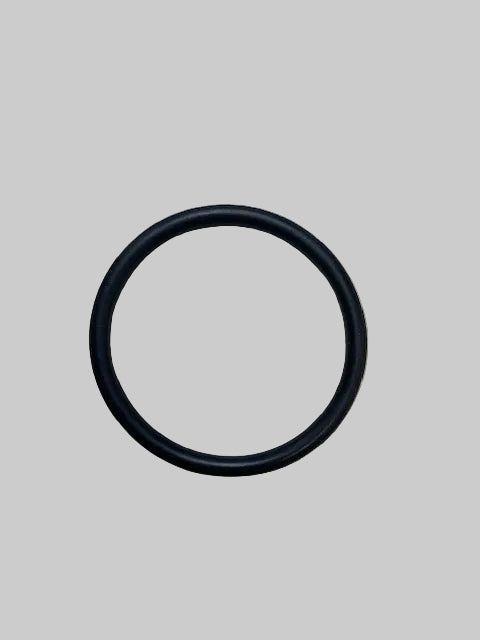 A100F6018F - O Ring #