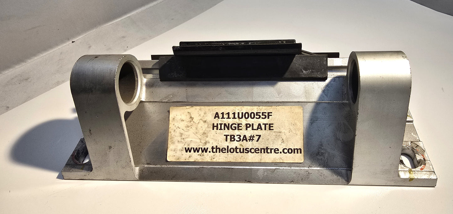 A111U0055F - Door Hinge-Body