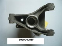 B089D0281F - Rear Hub Carrier