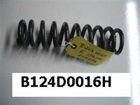 B124D0016H - Rear Spring