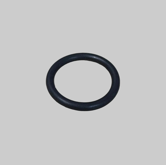 A100E6562S - O Ring-Plug to Head #