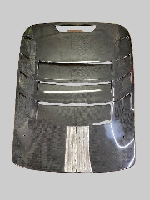 B138B0670F - Carbon Tailgate