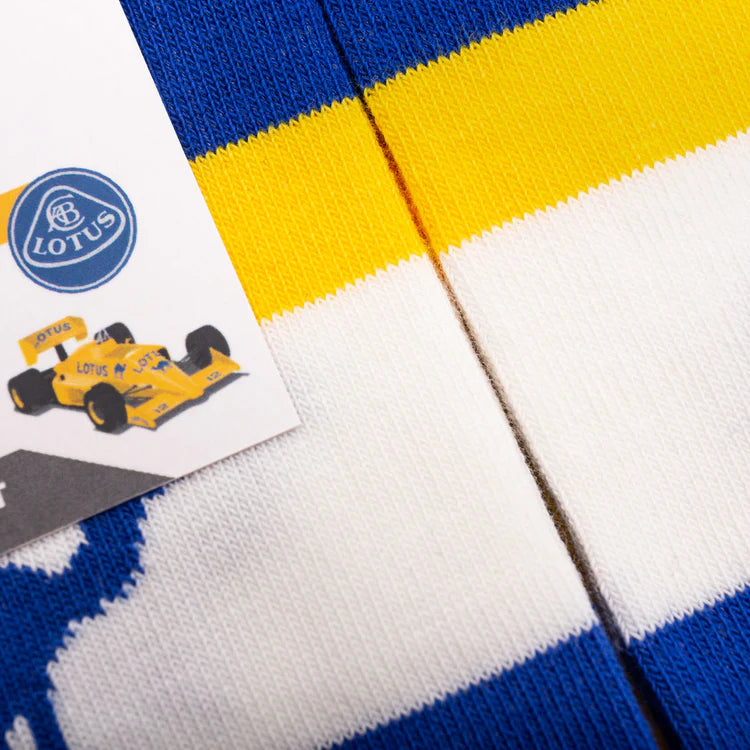 5607311995916 - Lotus 99T Socks