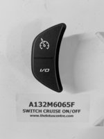 A132M6065F - Cruise Control Switch