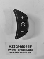 A132M6066F - Cruise Control Switch